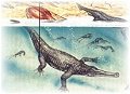 Fossilien: Krokodil
